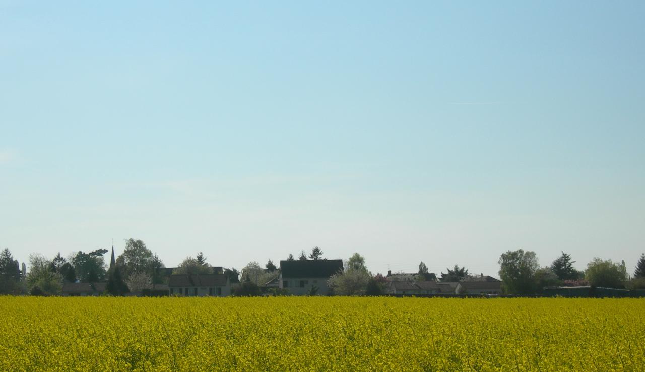 Vue générale Challet été 1